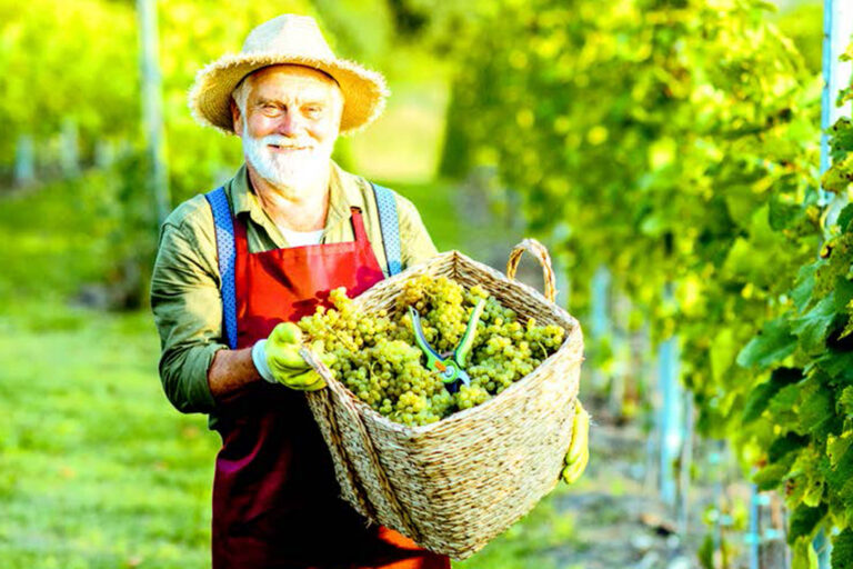 Klosterneuburg – Stadtpanorama